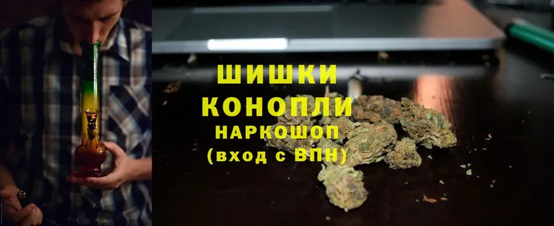 blacksprut ссылки  Сосновка  Каннабис White Widow 